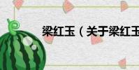 梁紅玉(關于梁紅玉的簡介)