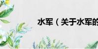 水軍(關于水軍的簡介)
