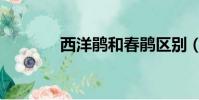 西洋鵑和春鵑區別(西洋鵑)