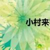 小村來客（關于小村來客簡介）