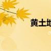 黃土地（關于黃土地的簡介）