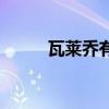 瓦萊喬有幾個冠軍戒指（瓦萊喬）