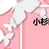 小杉町（關于小杉町簡介）