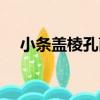 小條蓋棱孔菌（關于小條蓋棱孔菌簡介）