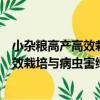 小雜糧高產高效栽培與病蟲害綠色防控（關于小雜糧高產高效栽培與病蟲害綠色防控簡介）