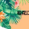 松花江（關于松花江的簡介）