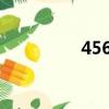 456123123（456123）