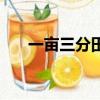 一畝三分田（關于一畝三分田的簡介）