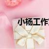 小楊工作室（關于小楊工作室簡介）