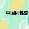 中國同性戀調查網站（中國同性戀調查）