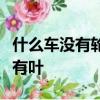 什么車沒有輪什么豬沒有嘴猜六個字什么花沒有葉