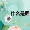 什么是膽機長尾倒相（什么是膽機）