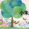 小朱莊（關于小朱莊簡介）