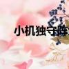 小機獨守陣地（關于小機獨守陣地簡介）