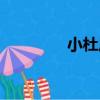 小杜莊（關于小杜莊簡介）