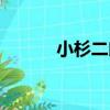 小杉二郎（關于小杉二郎簡介）