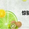 驚駭（關于驚駭的簡介）
