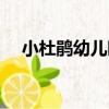 小杜鵑幼兒園（關于小杜鵑幼兒園簡介）