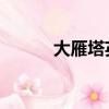 大雁塔英文翻譯（大雁塔 英文）