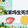 寶萊塢生死戀（關于寶萊塢生死戀的簡介）