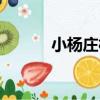 小楊莊村（關于小楊莊村簡介）