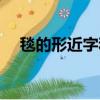 毯的形近字和同音字組詞（毯的形近字）