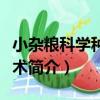 小雜糧科學種植技術（關于小雜糧科學種植技術簡介）