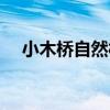 小木橋自然村（關于小木橋自然村簡介）