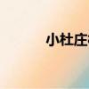 小杜莊村（關于小杜莊村簡介）