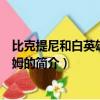 比克提尼和白英雄雷希拉姆（關于比克提尼和白英雄雷希拉姆的簡介）