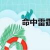 命中雷霆（關于命中雷霆的簡介）