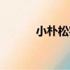 小樸松實（關于小樸松實簡介）