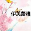 伊芙蕾雅和誰結婚（伊芙蕾雅結婚）