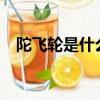 陀飛輪是什么意思?（陀飛輪是什么意思）