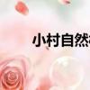 小村自然村（關于小村自然村簡介）