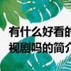 有什么好看的電視劇嗎（關于有什么好看的電視劇嗎的簡介）