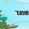 飛的組詞怎么寫呀（飛的組詞）