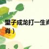 望子成龍打一生肖,這又是指哪一個動物呢（望子成龍打一生肖）