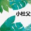 小杜父魚（關于小杜父魚簡介）