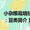 小雜糧栽培技術：豆類（關于小雜糧栽培技術：豆類簡介）