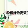 小雜糧綠色高效生產技術（關于小雜糧綠色高效生產技術簡介）