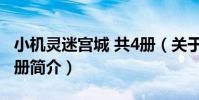 小機靈迷宮城 共4冊(關于小機靈迷宮城 共4冊簡介)