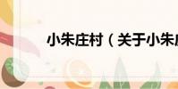 小朱莊村(關于小朱莊村簡介)