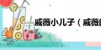 戚薇小兒子(戚薇的兒子)