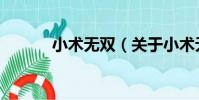 小術無雙(關于小術無雙簡介)