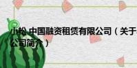 小松 中國融資租賃有限公司(關于小松 中國融資租賃有限公司簡介)