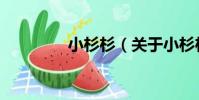 小杉杉(關于小杉杉簡介)