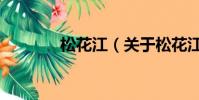 松花江(關于松花江的簡介)