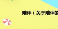 陪伴(關于陪伴的簡介)
