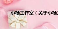 小楊工作室(關于小楊工作室簡介)